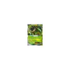 Gewaldro-EX XY53 HOLO