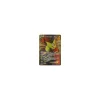 Giratina-EX 93/98 FULLART