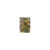 Giratina-EX 57/98 HOLO