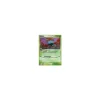Golbat REVERSE HOLO