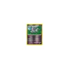 Groink Lv.36 056/146 Reverse Holo