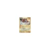Groudon 14/106