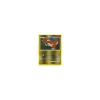 Groudon Lv.45 029/146 Reverse Holo
