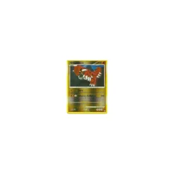 Groudon Lv.45 029/146 Reverse Holo