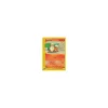 Growlithe 62/144 BESPIELT