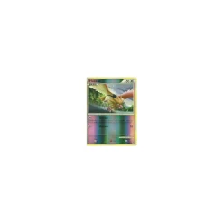 Habitak REVERSE HOLO