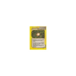Heilungsbeere 125/147 BESPIELT