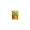 Hippoterus 66/99 REVERSE HOLO