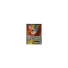Ho-Oh-EX 119/124 FULLART