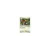 Hoothoot 091/116
