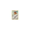 Hoothoot 106/147 REVERSE HOLO