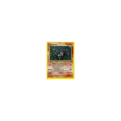 Hunduster 05/75 Holo