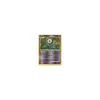 Icognito [L] Lv.18 091/106 Reverse Holo