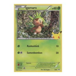 Igamaro 06a/25 HOLO