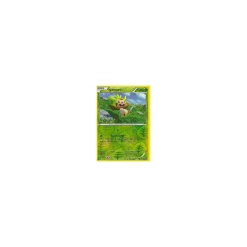 Igamaro 012/146 REVERSE HOLO