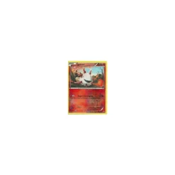 Ignivor 021/108 REVERSE HOLO