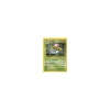 Ivysaur 30/102