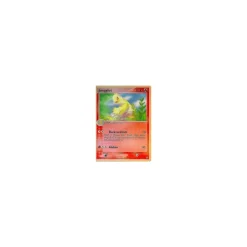Jungglut REVERSE HOLO