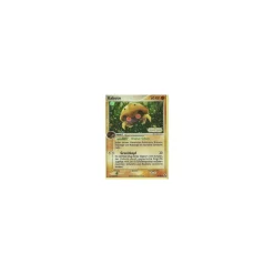 Kabuto REVERSE HOLO