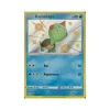 Kamehaps SV028/SV122 SHINY