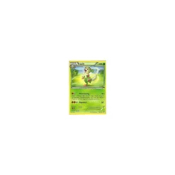 Kapilz 016/160
