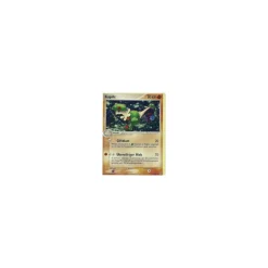 Kapilz HOLO
