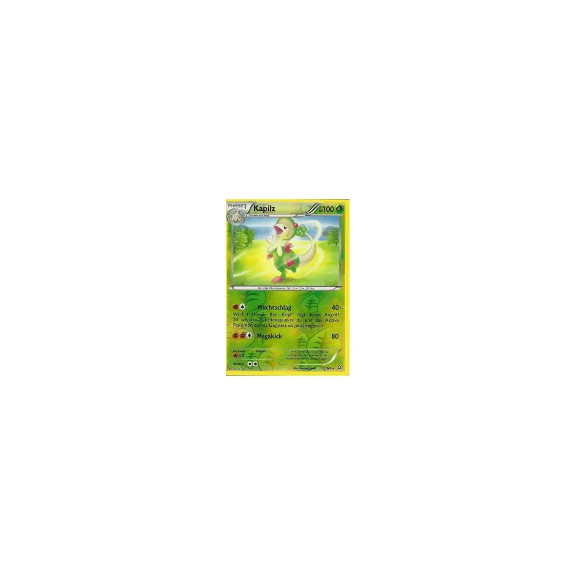 Kapilz 016/160 REVERSE HOLO