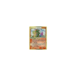 Kappalores REVERSE HOLO GOLD