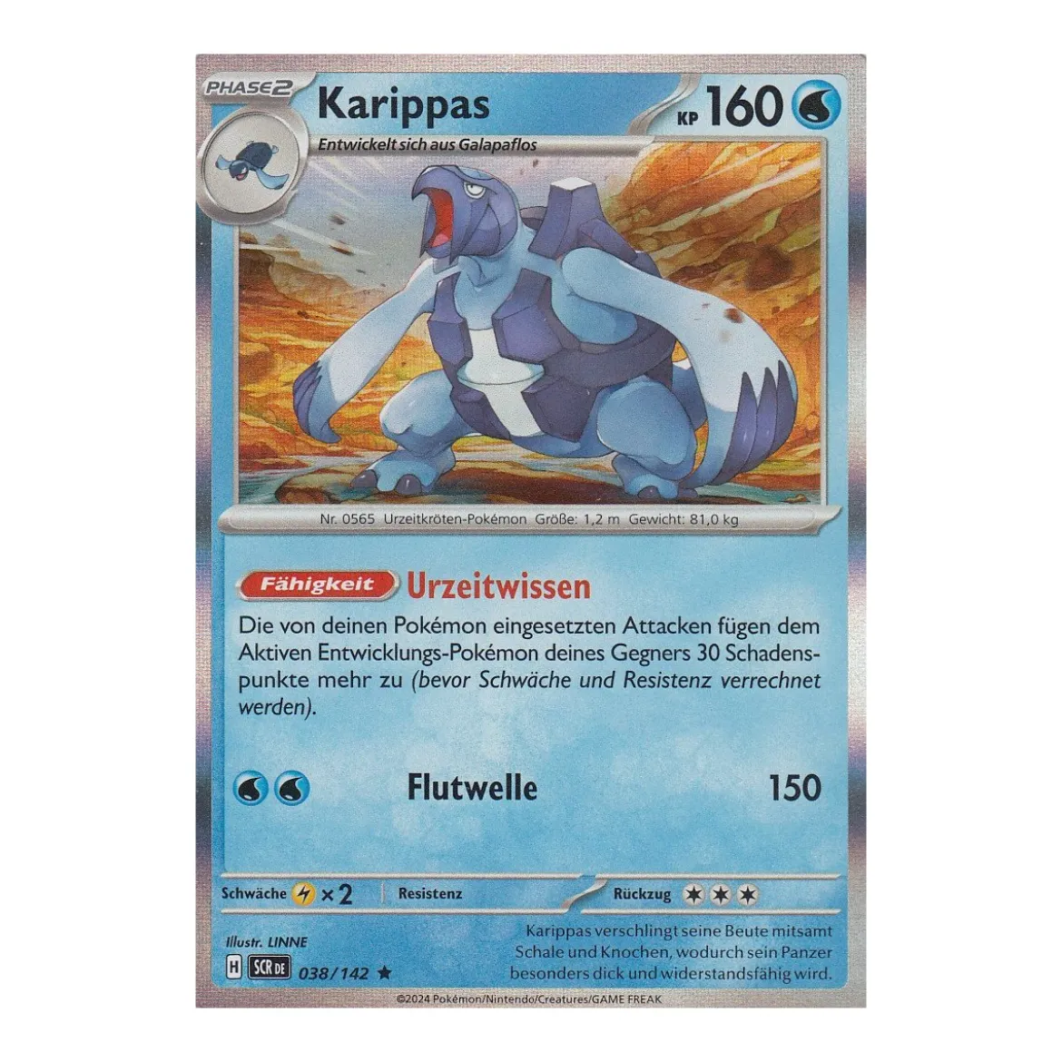 Karippas 038/142