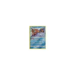 Karpador 017/111 REVERSE HOLO