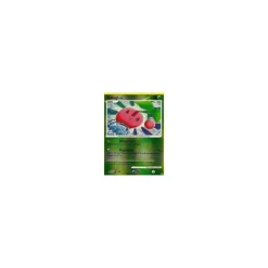 Kikugi REVERSE HOLO