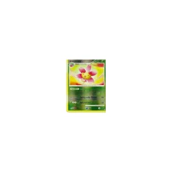 Kinoso REVERSE HOLO
