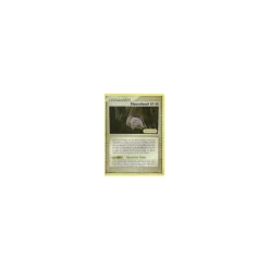 Klauenfossil REVERSE HOLO