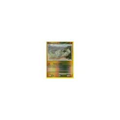 Kleinstein REVERSE HOLO