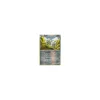 Klikk 088/135 REVERSE HOLO