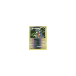 Knarksel REVERSE HOLO