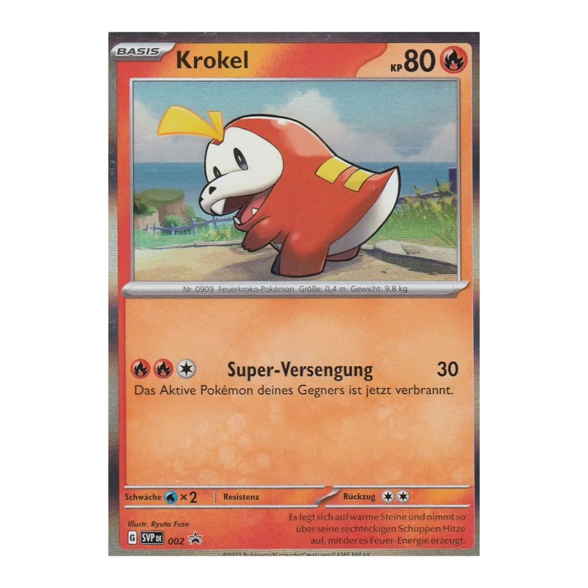 Krokel SVP002
