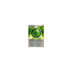 Kräuter-Energie 103/111 REVERSE HOLO