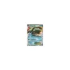 Kyogre-EX 026/108 HOLO