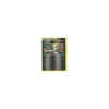 Lanas Suche REVERSE HOLO