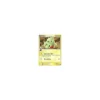 Larvitar 52/101