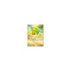 Larvitar 62/109