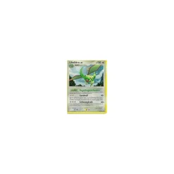 Libelldra LV. 65 HOLO