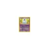 Lichtel 058/101 REVERSE HOLO