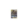 Lucario & Melmetal Tag Team-GX SM192 (englisch) PROMO