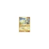 Machollo