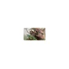 Magic Ikoria Easy Prey Spielmatte - Playmat von Ultra Pro