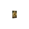 Magic the Gathering Life Pad Celestial Plains Edition