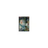 Magnezone-EX 101/106 FULLART