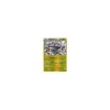 Magnezone 047/135 REVERSE HOLO